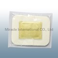 detox foot patch